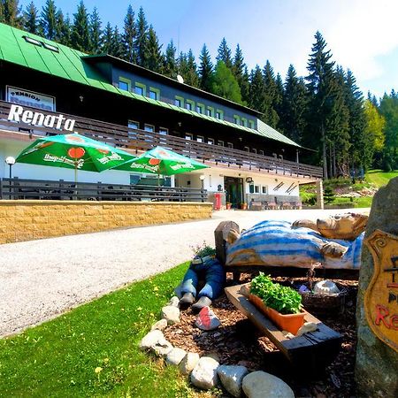 Pension Renata Harrachov Bagian luar foto