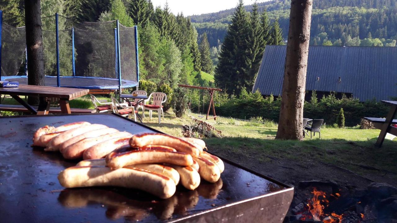 Pension Renata Harrachov Bagian luar foto