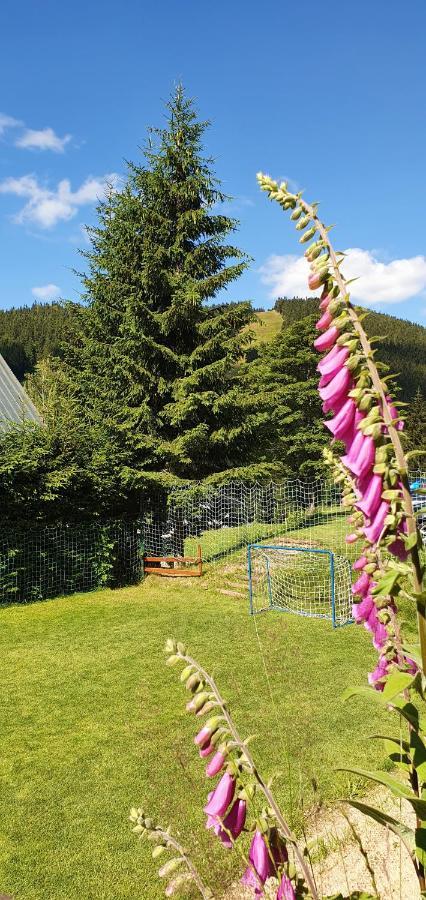 Pension Renata Harrachov Bagian luar foto