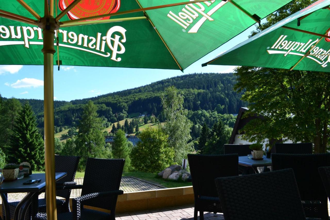 Pension Renata Harrachov Bagian luar foto